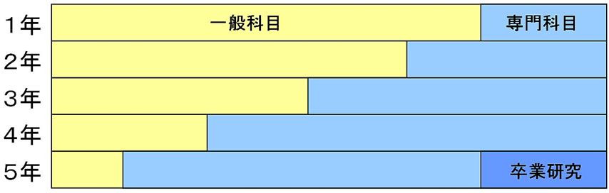 [写真]一般科目と専門科目の比率